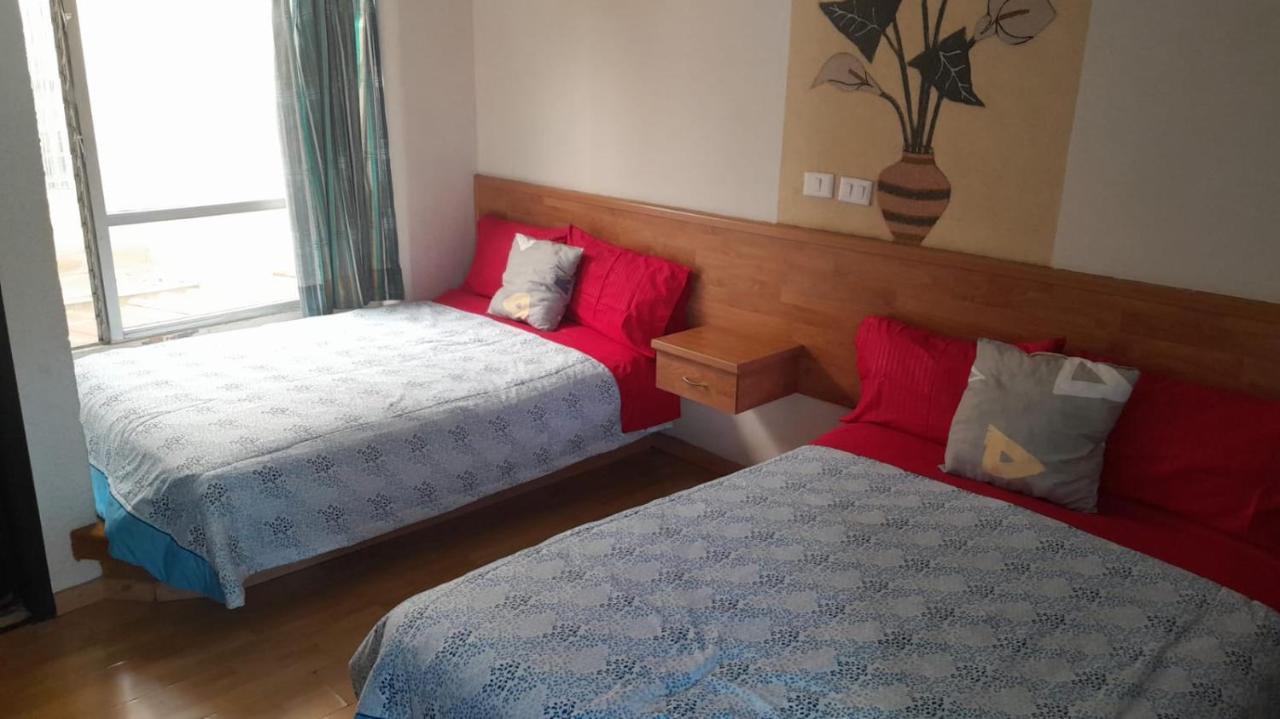 خالابا Hotel Cariari المظهر الخارجي الصورة